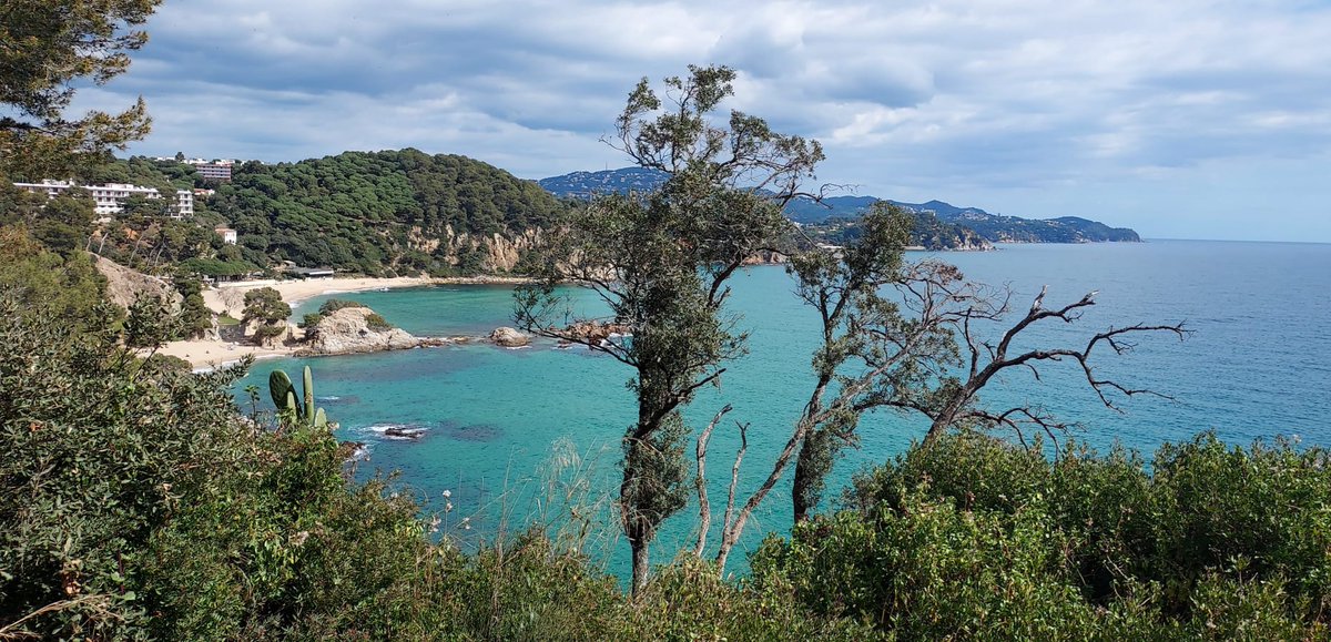 annaaulet's tweet photo. Matí amb bones vistes. Boscos litorals on ja s'hi flaire la primavera i s'omplen de colors, amb lavandes i ginestells en plena floració.
#SantaCristina #Treumal #mylloret #Agüia #SaPalomera #Abanell #Blanes #PNINPinyaderosa #DeltadelaTordera #comarcadelaselva #boscmediterrani https://t.co/O9rIwQrElF