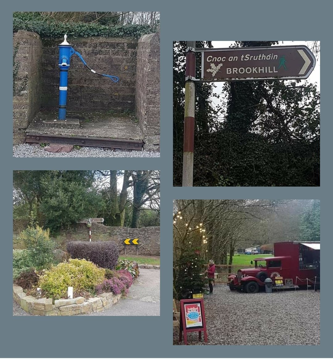 Day 73 of  @100DaysOfWalkin  in #beautifulglanmire  . Thanks helen for yr photos <a href="/GlanmireFT/">Glanmire Fairy Trail</a>