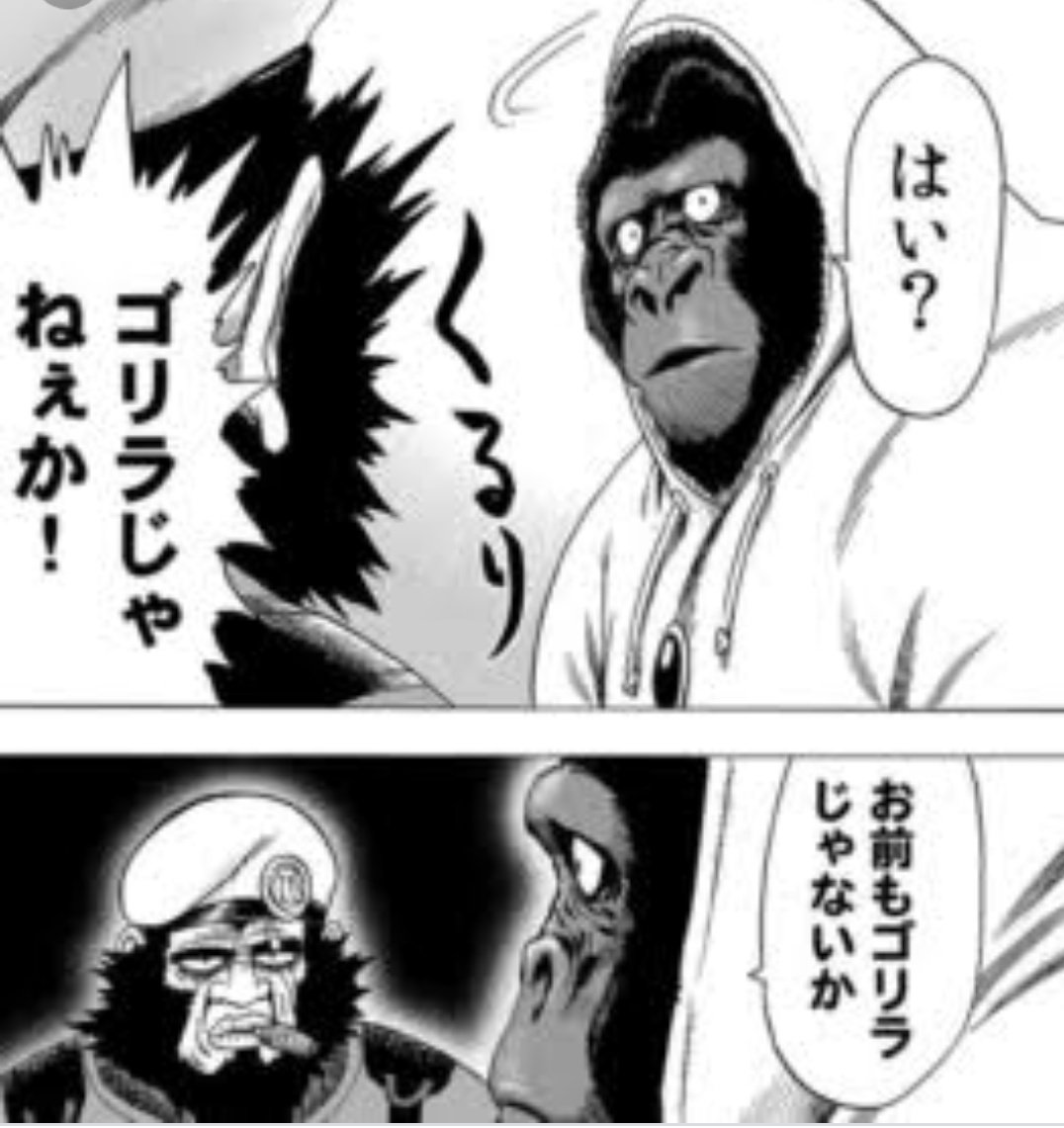 Berry 今 考えたら宇宙人じゃなかったかもな 多分 ワンパンマンのアーマードゴリラの小さいバージョンだった気がする ｸ ｸｿｫ T Co Yioayhkzy4 Twitter