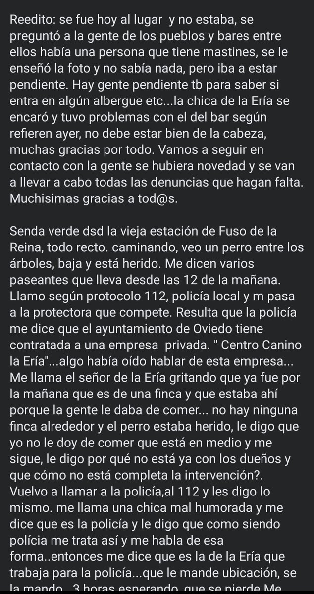 raulofthesun's tweet photo. Hola,buenas,esta es mi hermana y le ha pasado esto,desde que éramos pequeños siempre hemos protegido a los animales más que a nosotros mismos,ella en especial,le ha pasado esta circunstancia ayer,solo pido que compartáis (+) https://t.co/j0An0B5mcn