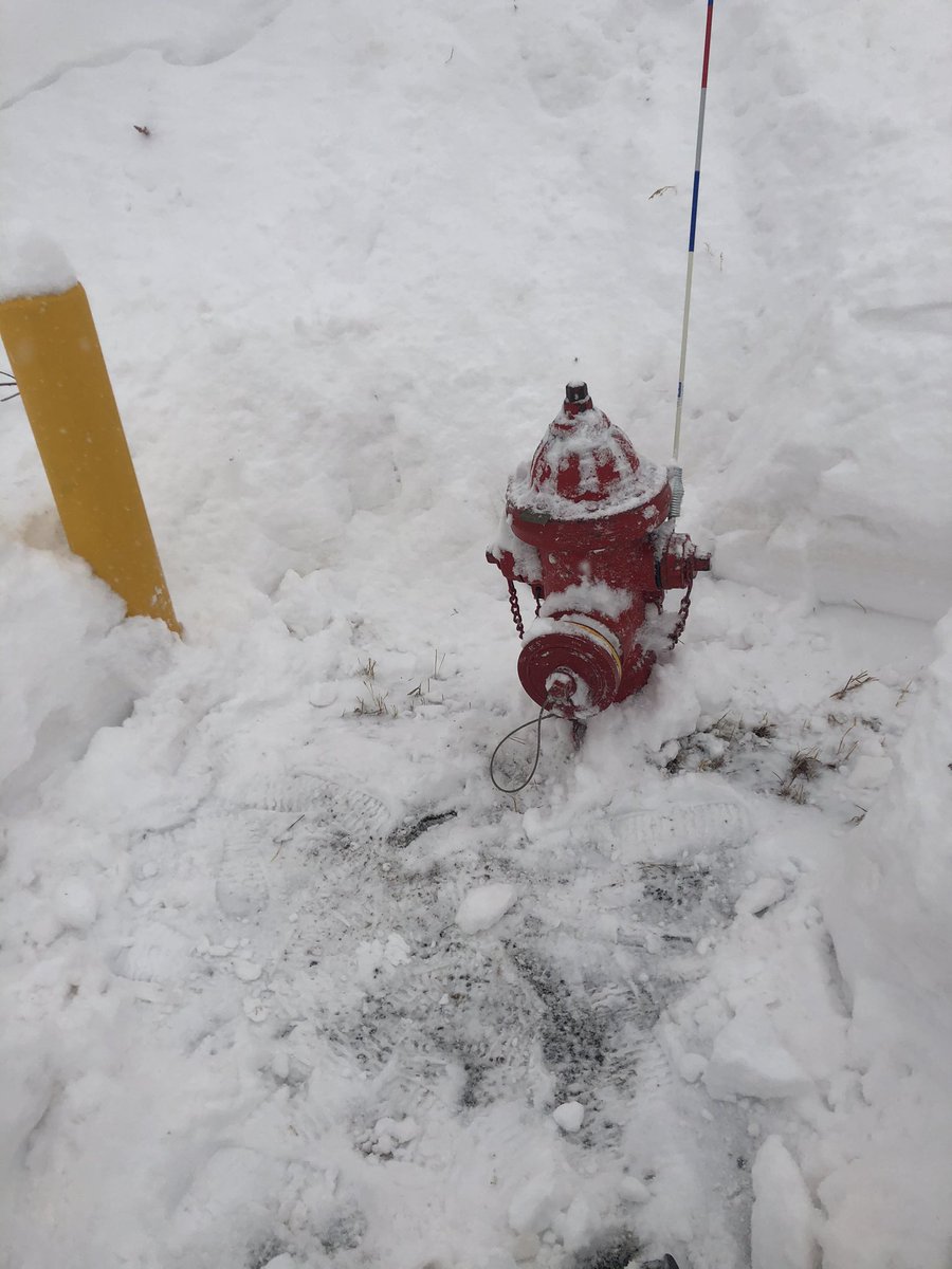 ColoradoSafe's tweet image. Dug out the fire hydrant in my neighborhood. We can all do our part for a #firesafecolorado even during a blizzard. ❄️❄️