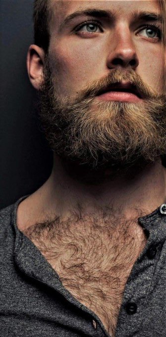 2 pic. ??Sunday???♂?#hairsome #hairychest #hairygay #hairyfan #scruff #beardedhomo #beard #hairymen #gay