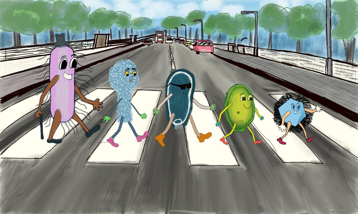 Giant viruses and E. coli walking the #Beatles walk. From right to left: Mimivirus, Pandoravirus, Pithovirus, Tupanvirus and E. coli. Size roughly to scale.

#GiantVirus #Beatles