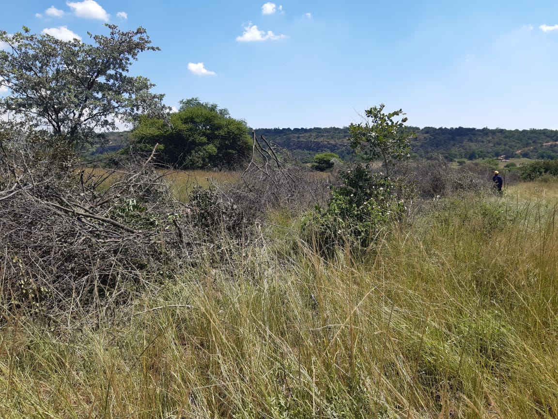 wo_fire's tweet photo. Working On Fire Modimolle Base conducted a fuel manual reduction (Stack Burning) on Friday at Verloen Estate Africa situated in Bela-Bela, South of Limpopo.
#WOF_LIM
#SavingLives
#ProtectingTheEnvironment
#FireSeasonReadiness https://t.co/KcYsCd8U4J