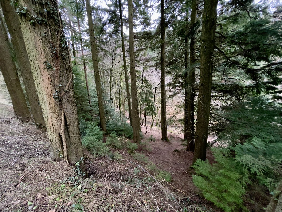 jon_simms's tweet image. Great to walk somewhere different whilst #stayinglocal and had a great view of @AneurinBevanUHB #GrangeUniversityHospital from the top.