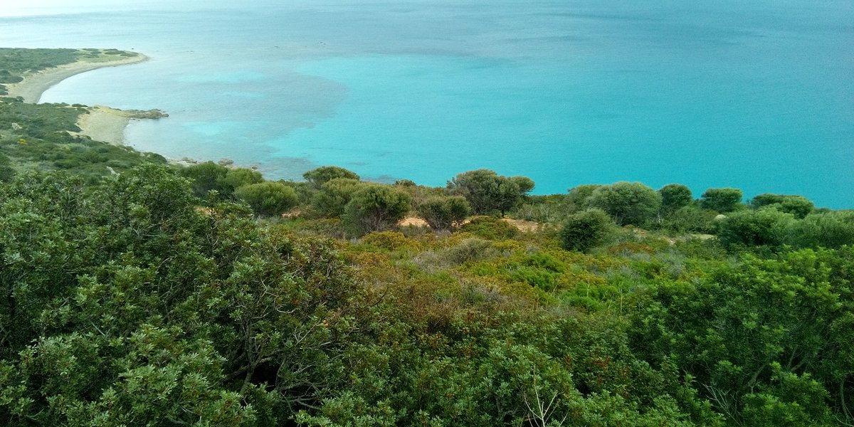 SolanasD's tweet photo. #escursione a #villasimius #trekk #Marzo2021 #panoramaspettacolare #sudsardegna #nordicwalking #Mare #Sardegna #zonabianca https://t.co/zk9YGWqDug