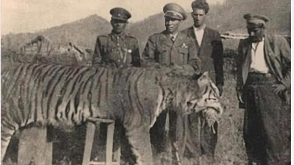 #nuhungemisişırnakta