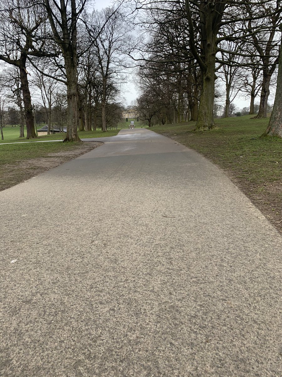 SallyHoyle26's tweet photo. A cold &amp; wet Roundhay Park walk today...but day 14 of the 10,000 step #marchthisway challenge is complete! @lewishoyle1 #bathtimeforbrucey https://t.co/Pxscwe9ohK