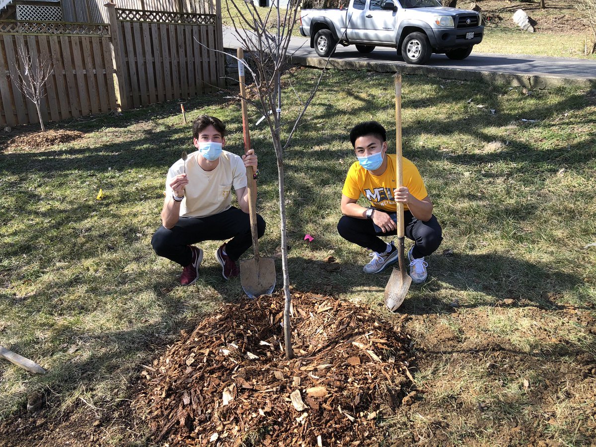 LFcoachGriggs's tweet image. Up early on a Sunday doing a little landscaping with the squad. It was great to work with @SAWHfH and @shenandoahgreen to help make a small, positive impact in our local community. @FightingMbu  #legacytree #goingtobesoretomorrow