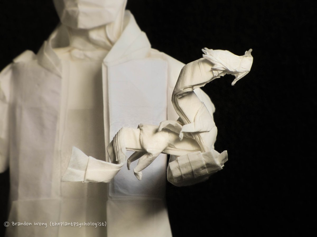 brandon_w0ng's tweet photo. “An Origami Journey” — a single uncut square of 68cm Wenzhou. 
As the title says, this design is a depiction of a folder’s journey as we push ourselves to improve: from a traditional crane in one hand, to a ryujin in the other hand. https://t.co/gOwRRF24EQ