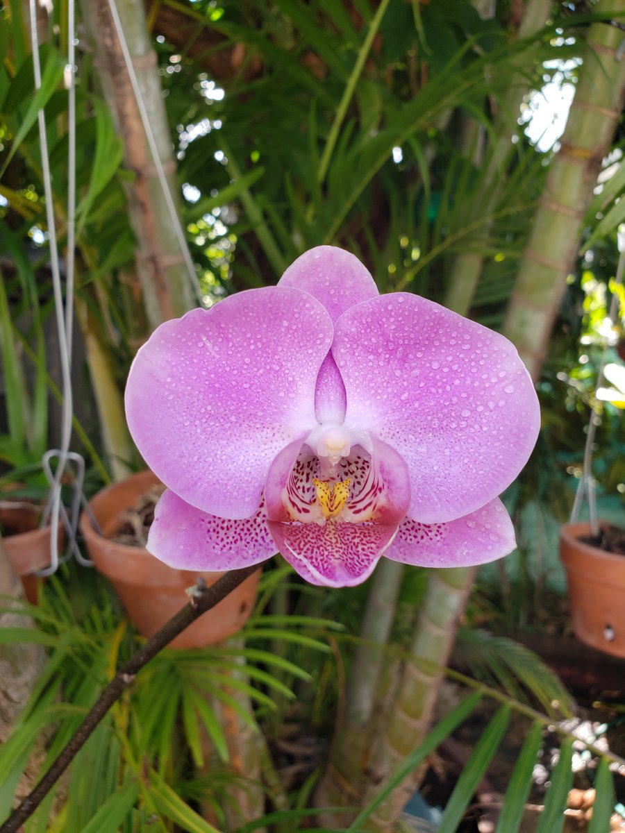 Margot R tweet media