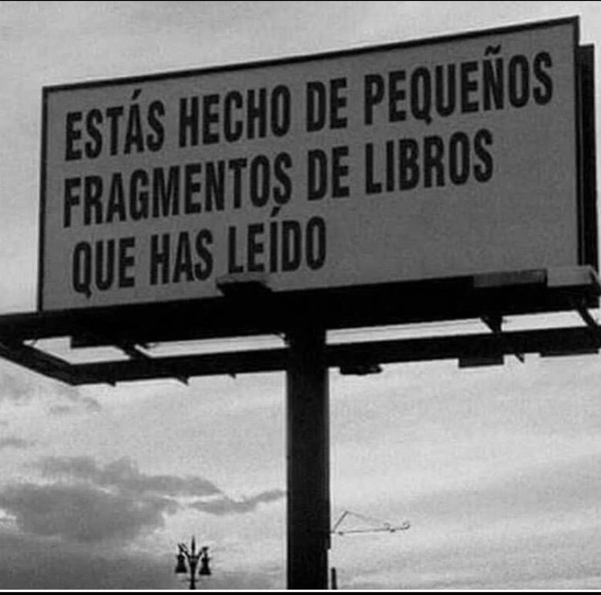 Cementerio De Libros tweet media