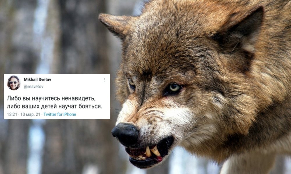 Zmicerz's tweet image. 