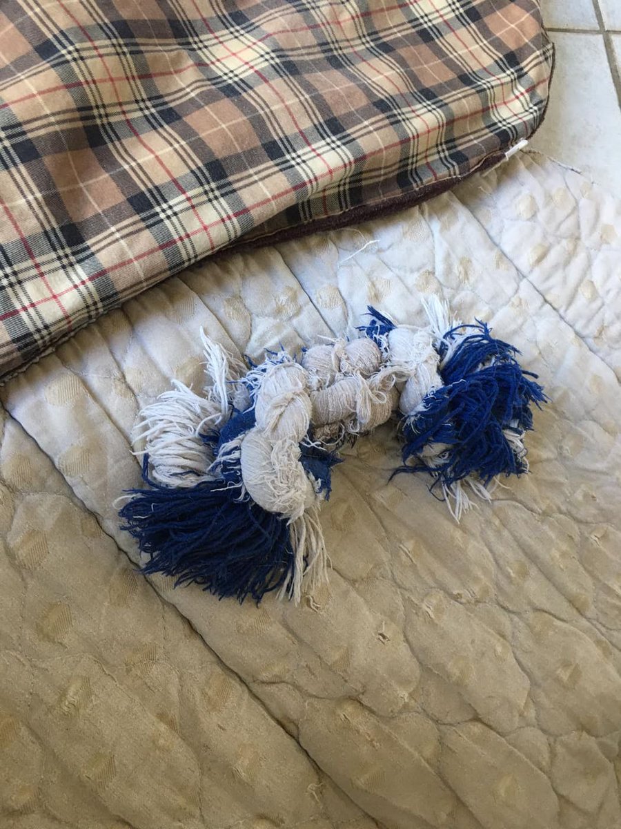 VJEnterprise1's tweet photo. Live demonstrations with the testimony of our clients, 
CLEAN WATER SIMPLY THE BEST DECISION TO KEEP YOUR HOME YOUR FAMILY YOUR BUSINESS AND THE ENVIRONMENT SAFE HEALTHY AND CLEAN. #Hond #HealthyLiving  #Klimaatalarm #ecologie #gezondheid #sustainable #Nachhaltigkeit #allergies https://t.co/yqv6Talqlz