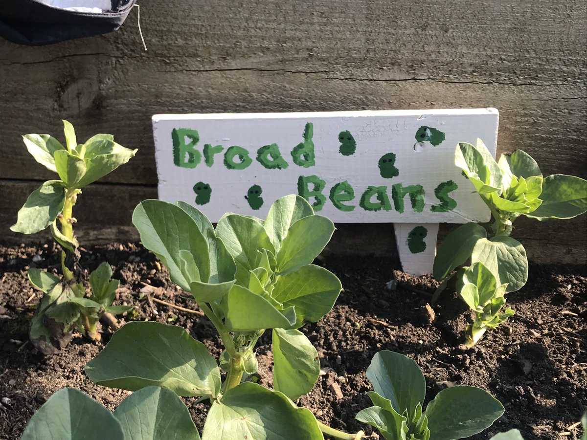 Grow With Joe tweet media