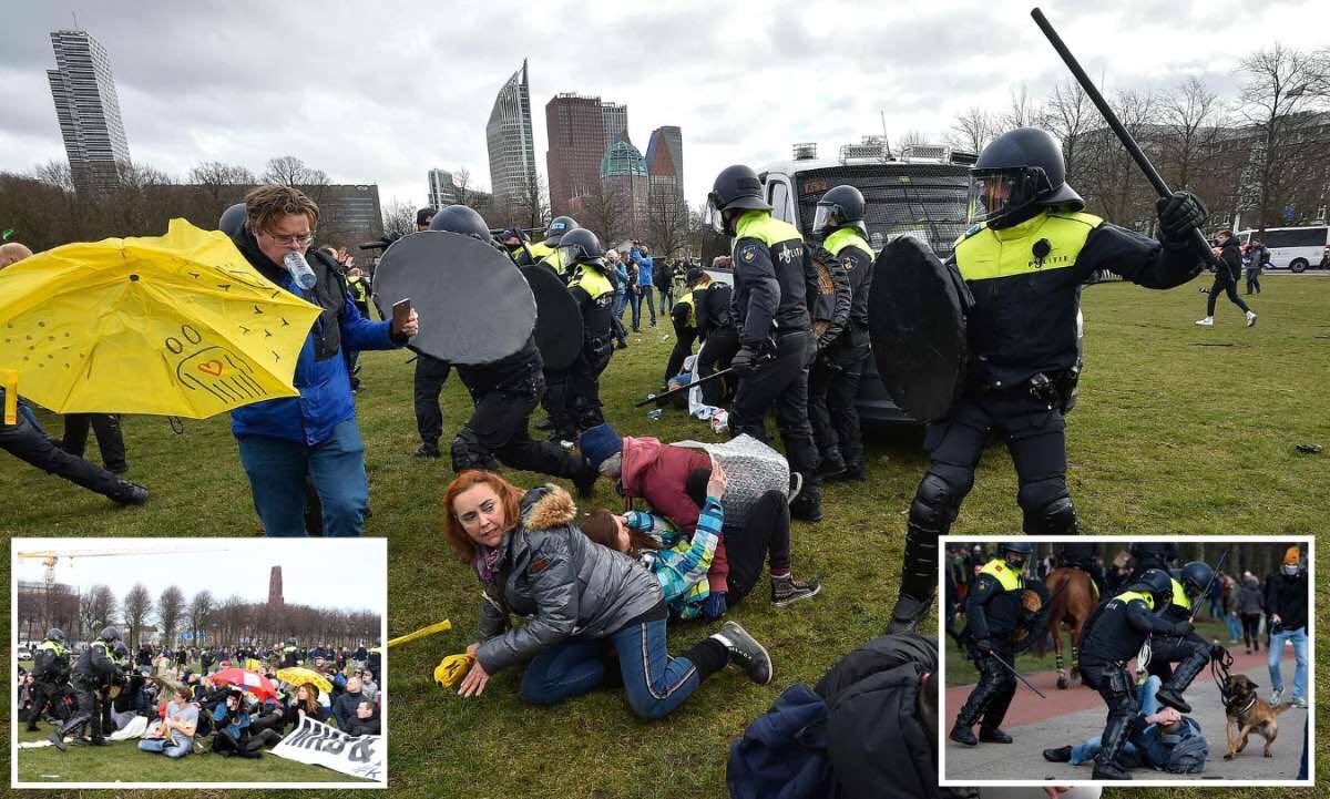 https://pbs.twimg.com/media/EwdZDhlWEAQRCdi?format=jpg&amp;name=medium