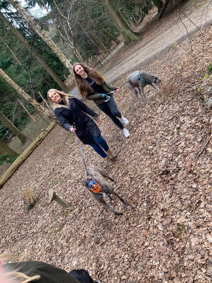 Livi_Noble's tweet photo. Visiting Nanny Nora 💐 featuring a mini family reunion! Roll on restrictions lifting 💕 love our walks at Greenacres🧡 🐾 #Peaceful #TranquilSettings https://t.co/wpvC38KUp6