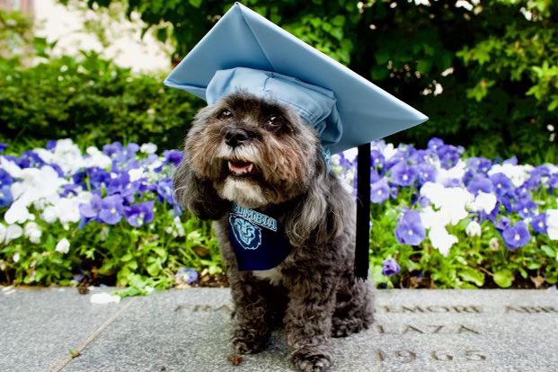 rpd771's tweet image. Ready to Conquer the World! Happy Pi Day #columbiaengineering #piseas