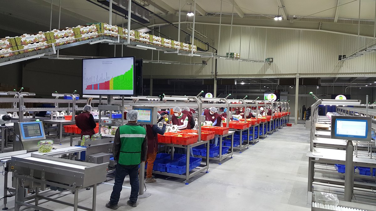 MARCO_Limited's tweet photo. Drive productivity, reduce training requirements, and increase communication within your #packingfacility with our Trac-IT Production Data Display screens
https://t.co/NVki4DHxkJ
#foodpacking #packhouselabour #factorydata https://t.co/BO7BViI5QO
