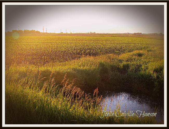 Have you checked this out? conta.cc/3qHVgiS