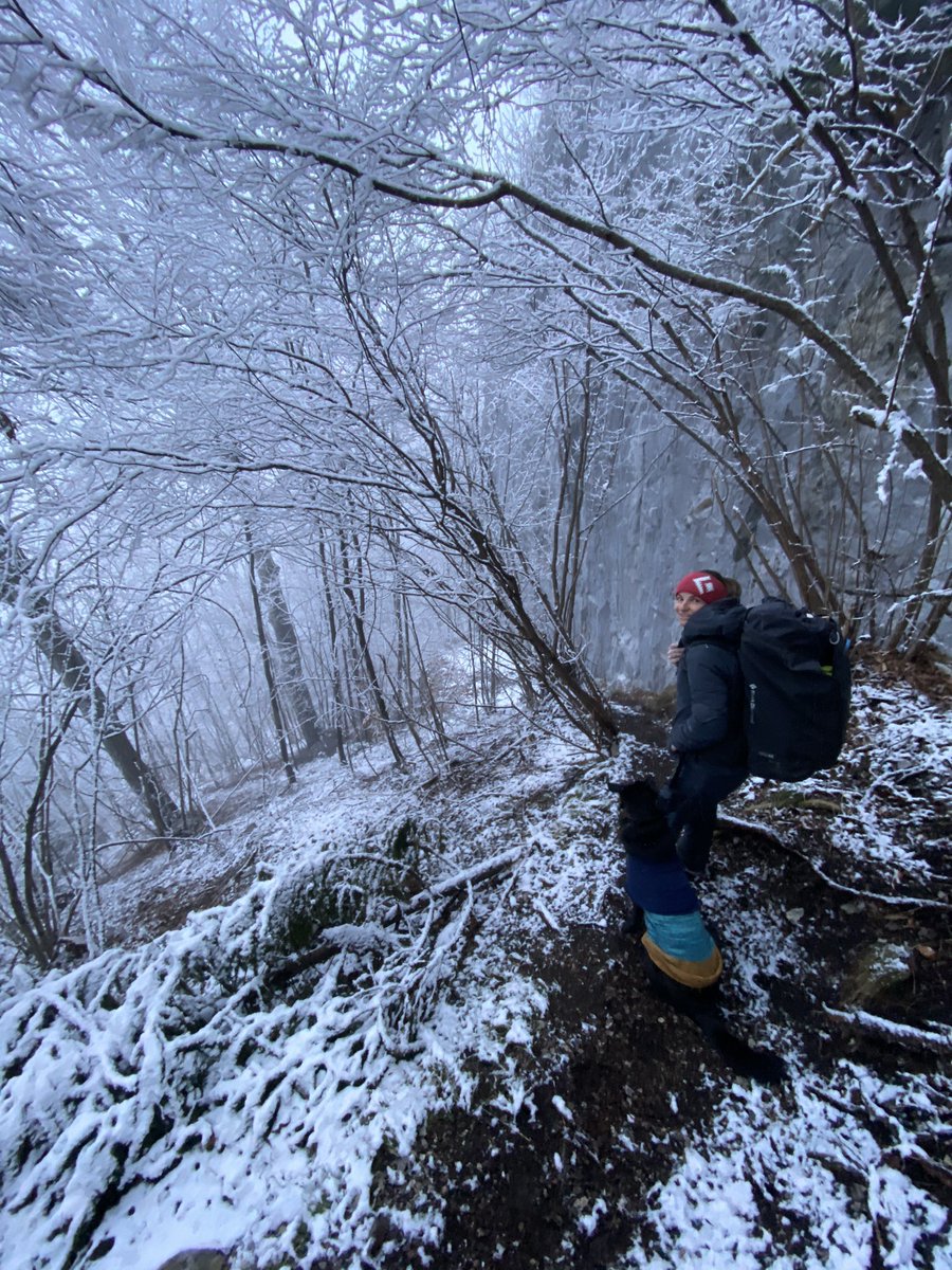 JacopoLarcher's tweet photo. Perfect conditions at the crag today! #winterisback https://t.co/45wSjCsBuK