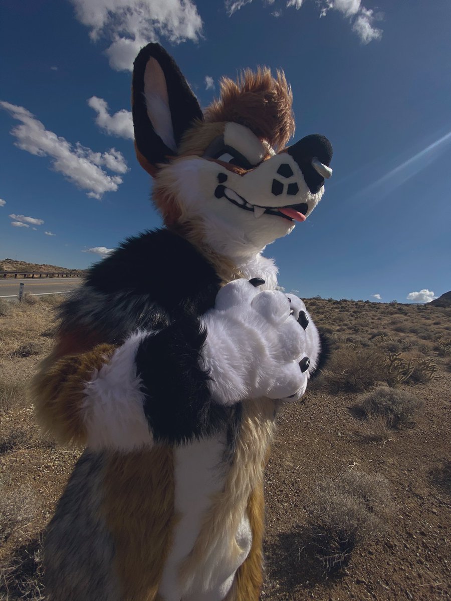 deserteeth's tweet photo. ☀️ https://t.co/BjSfOHdwIK