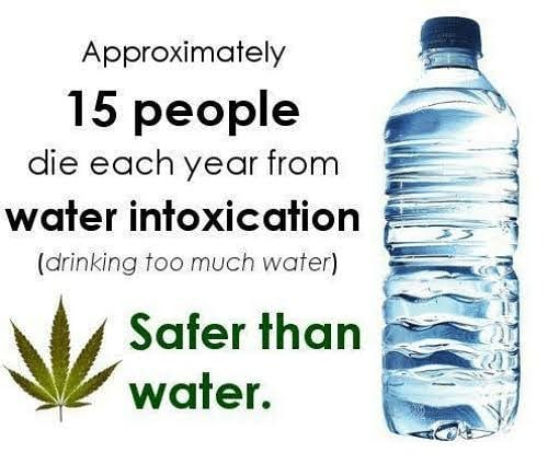 cannaworldsite's tweet photo. https://t.co/OEJ9MXgbTa
