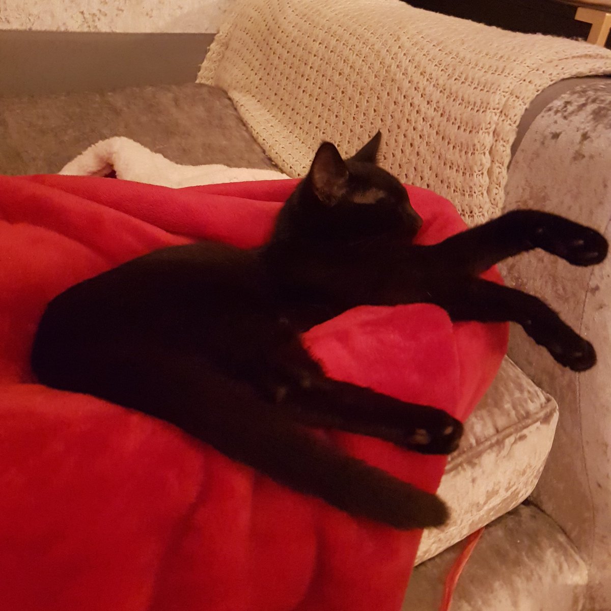 🍃🍂🍁 tweet media