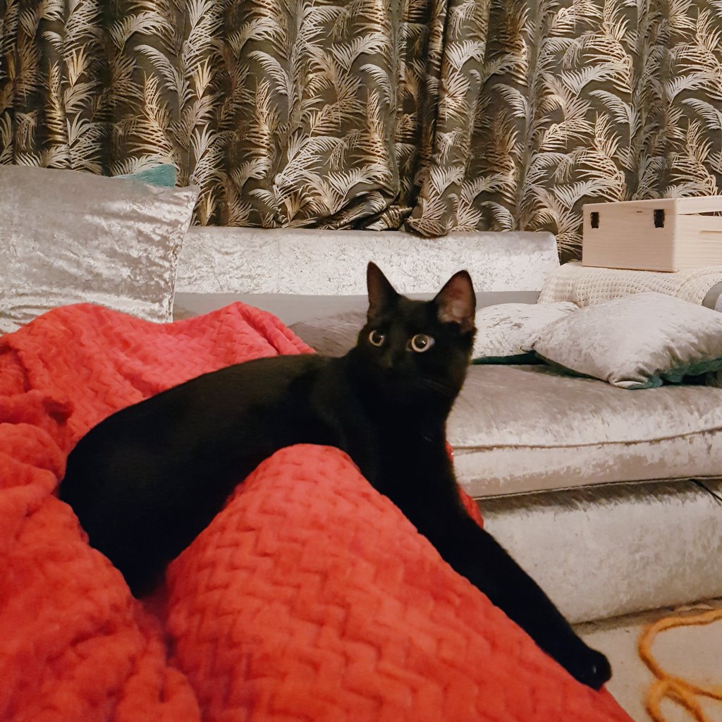 🍃🍂🍁 tweet media