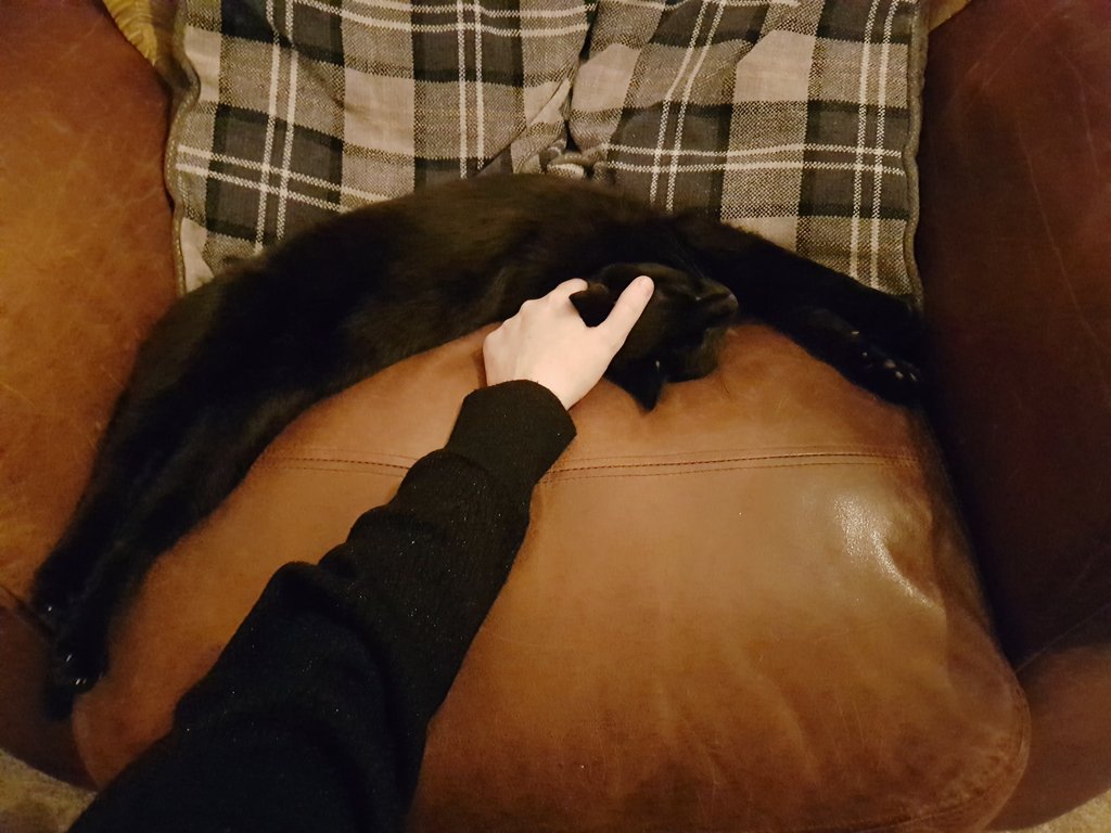 🍃🍂🍁 tweet media