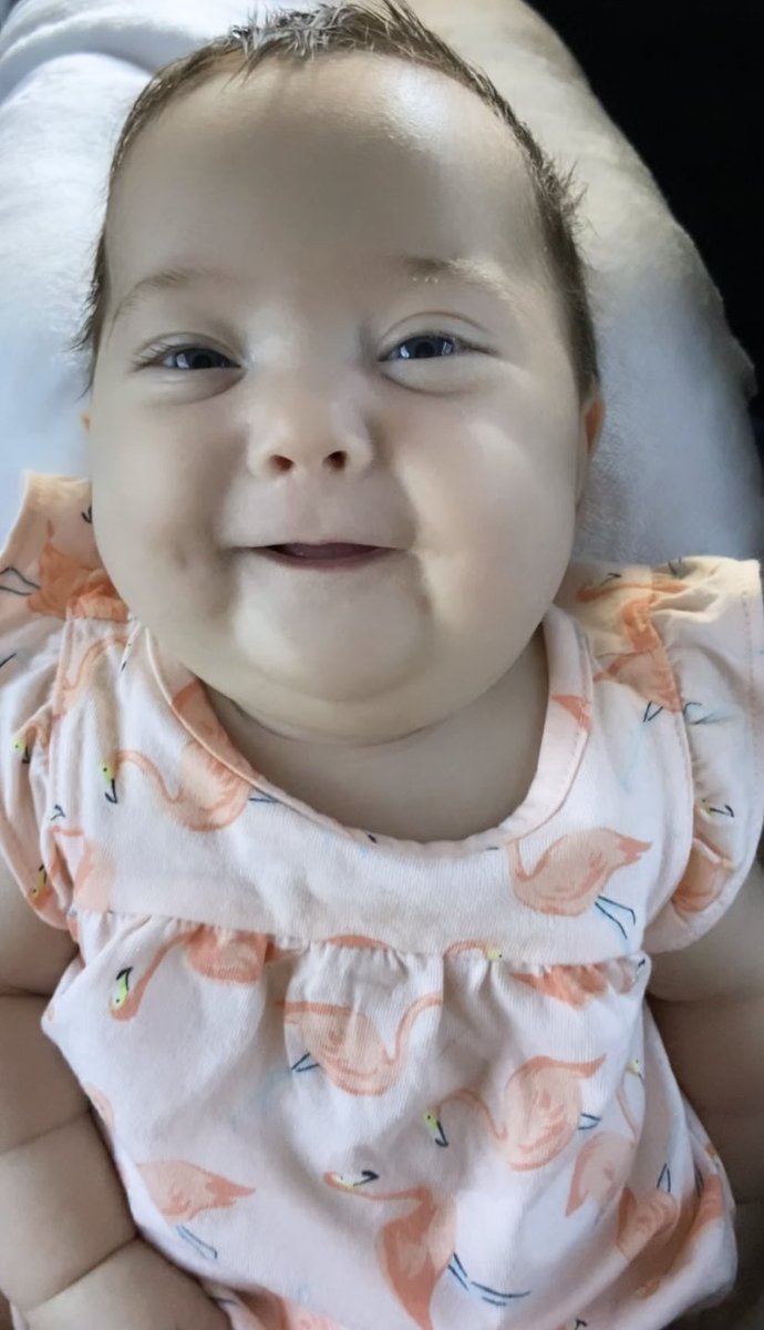 hopea___'s tweet photo. I have the most adorable two month old 🥺 cheeks &amp; chin for days 🤪 https://t.co/rQ7sbomTRP