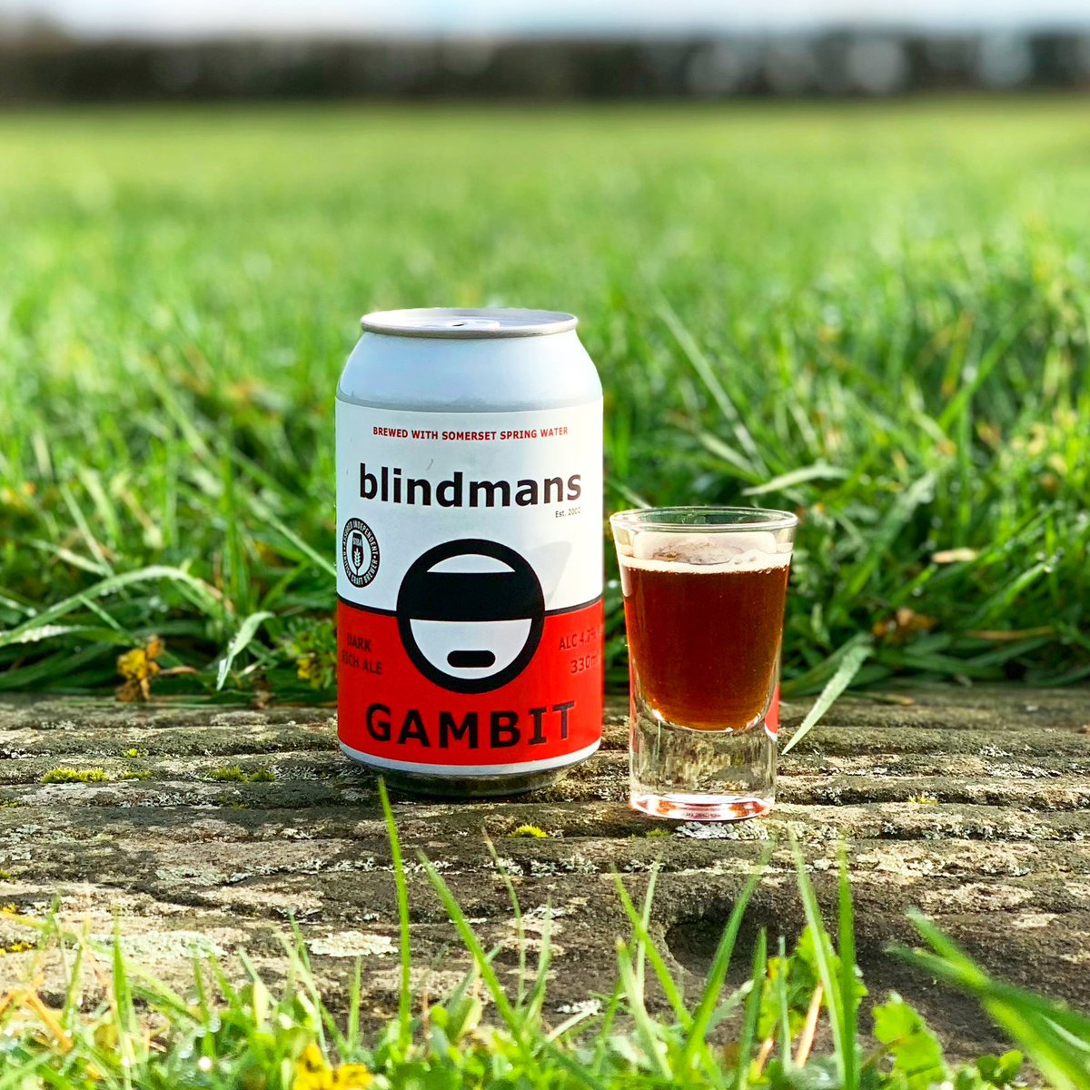 blindmansbrewer's tweet photo. The luck of the Irish bringing you more discounts for St Patrick’s Day ☘️ 🍻 

Use STPAT25 for 25% OFF all Gambit cans - our Irish style stout. 
 
Order by 11pm Monday for delivery by St Patrick’s Day (Wednesday)
Offer ends 18th March.

#stpatricksday #caskbeer #craftale #beer https://t.co/Vn6KnsmZzW