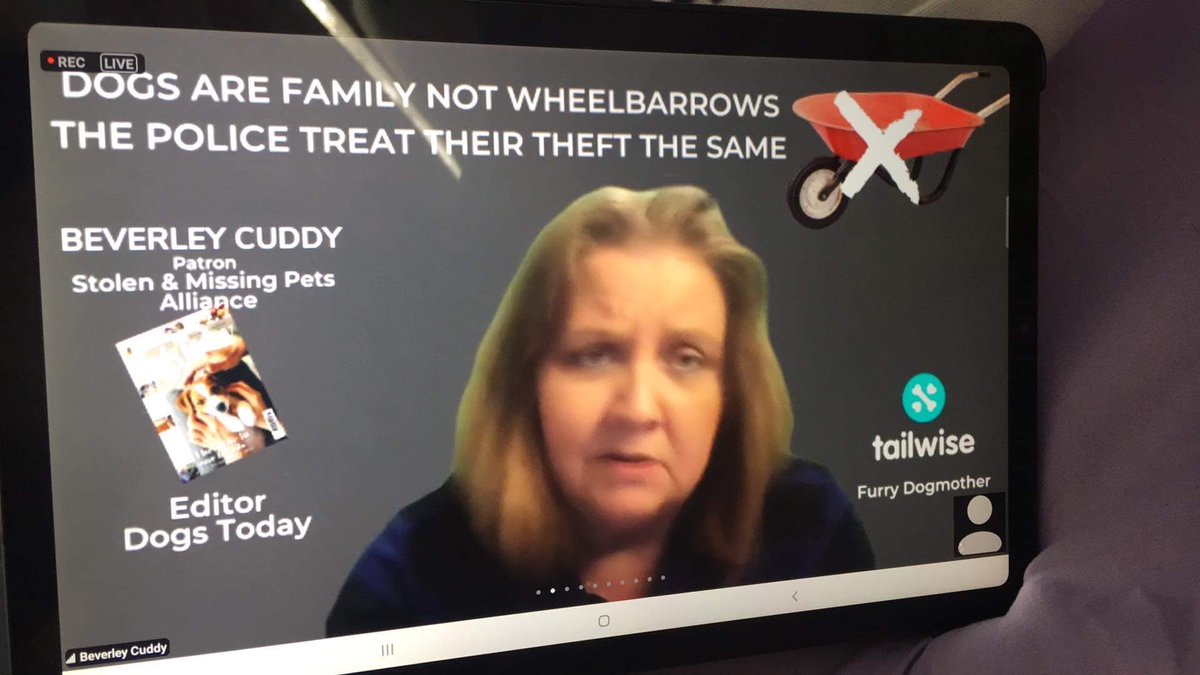 “Dogs are family, not wheelbarrows. The police (in UK) treat their theft the same.” #PetTheftReform #PetTheft #UK #UKparliament #dogsTodayMagazine #dogLost #DogTheftAwarenessDay #March14 #DogZoom21 <a href="/DogZoomUK/">DogZoom</a>