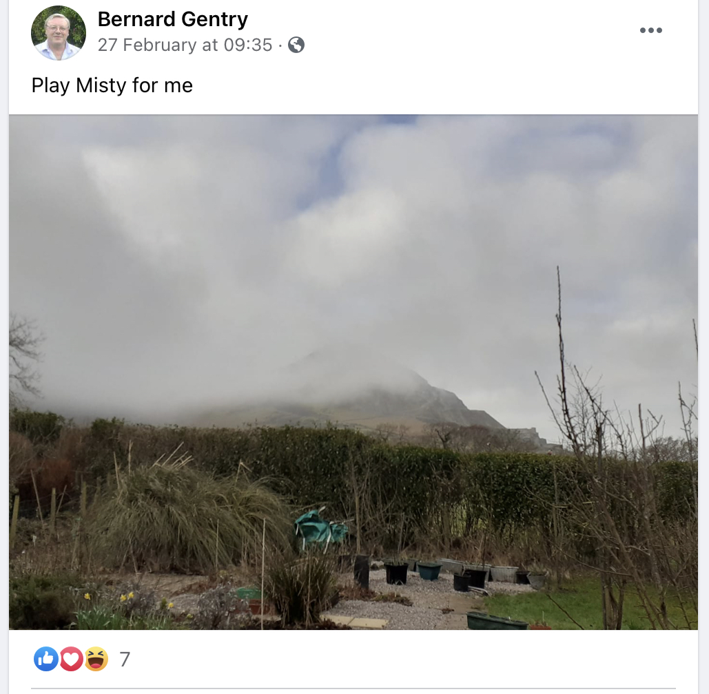 Cheshire Set tweet media