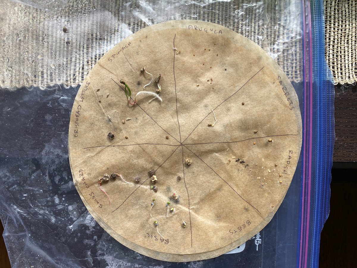 Mike Senese tweet media