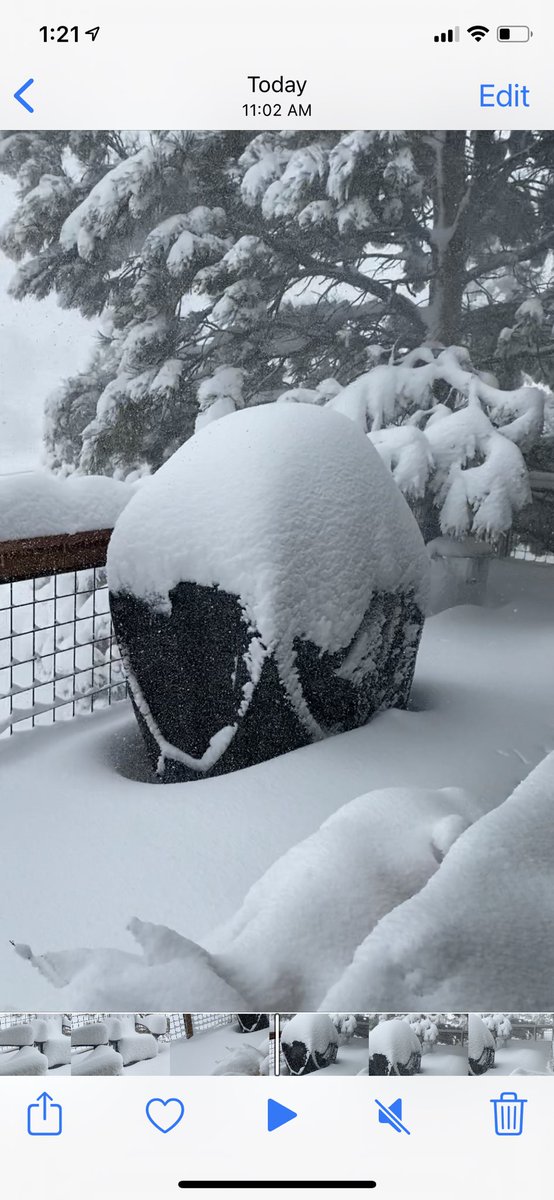 wytowncwt's tweet photo. @KyleClark @9NEWSWeather east of parker about 18 inches so far and coming down about an inch an hour now.....let’s see where we end! https://t.co/uvyIr7uKfL