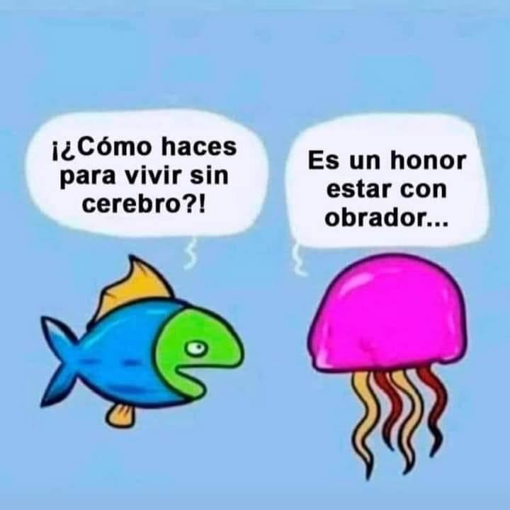 econokafka's tweet photo. Genio quien lo hizo. https://t.co/NJiqNJbpLZ