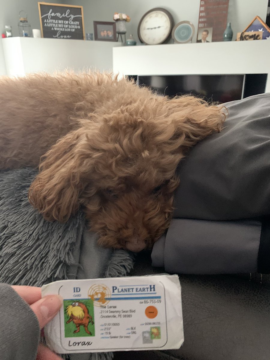 JuliadanesAPES (@danes_julia) on Twitter photo Super thankful for all the public land available in our state of Wisconsin! This gives my dog so much room to run around👍🏽🐶🐾 <a href="/franklinlorax/">APES Project Lorax</a> #apesland Super thankful for all the public land available in our state of Wisconsin! This gives my dog so much room to run around👍🏽🐶🐾 <a href="/franklinlorax/">APES Project Lorax</a> #apesland