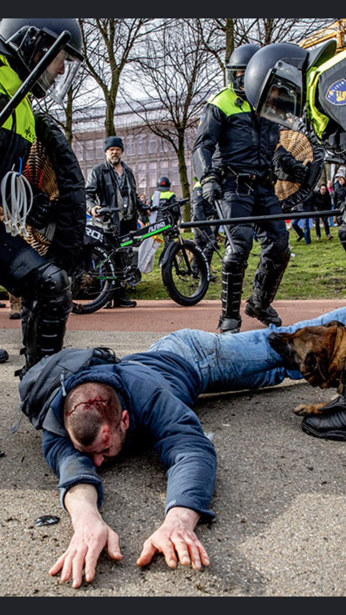 trevsayers's tweet photo. This is how the Dutch police deal with Convid...

Savage dogs and batons to the head to smash in skulls.

Welcome to our brave new technocratic tyranny! https://t.co/hcuPflhLkG