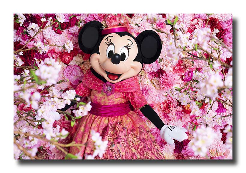 東京ディズニーリゾートpr 公式 イマジニング ザ マジック 写真家 蜷川実花さんとコラボレーションした作品第2弾 今回登場するのはミニーマウス 蜷川さんの世界観によって よりキュートな魅力が引き出されたミニーマウスをどうぞご覧