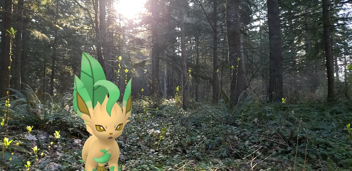 Ludo_Klack's tweet photo. Got the last of my footage this weekend!
Should have it out tomorrow evening:)
#PokemonGo #PokemonGoSnapShot
#ShapShot #GoVideo #SnapVideo https://t.co/wXvCNXwMOj
