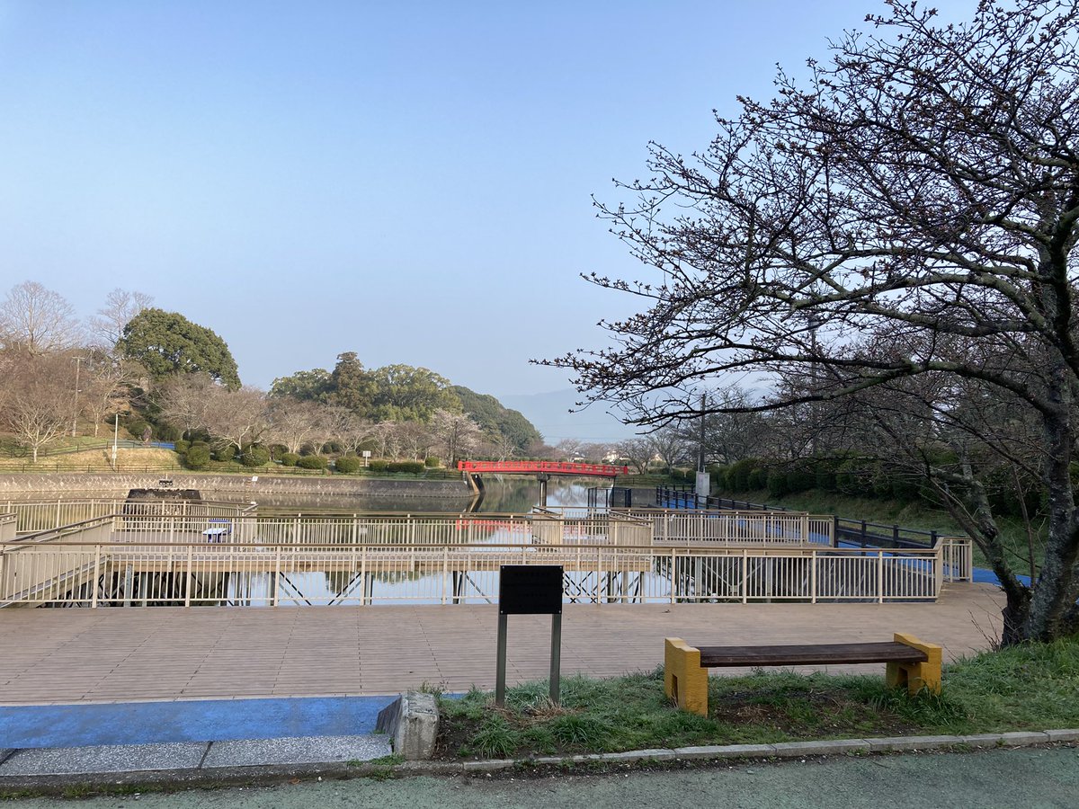 あさくら観光協会 公式 桜 情報 甘木公園 の ソメイヨシノ ちょっとずつ咲いていっています まだちらほら 写真は21 3 15の朝撮影 朝倉市 福岡 あさくらいふ あさくら桜