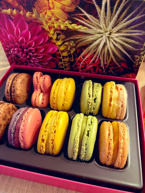 マカロンのtwitterイラスト検索結果