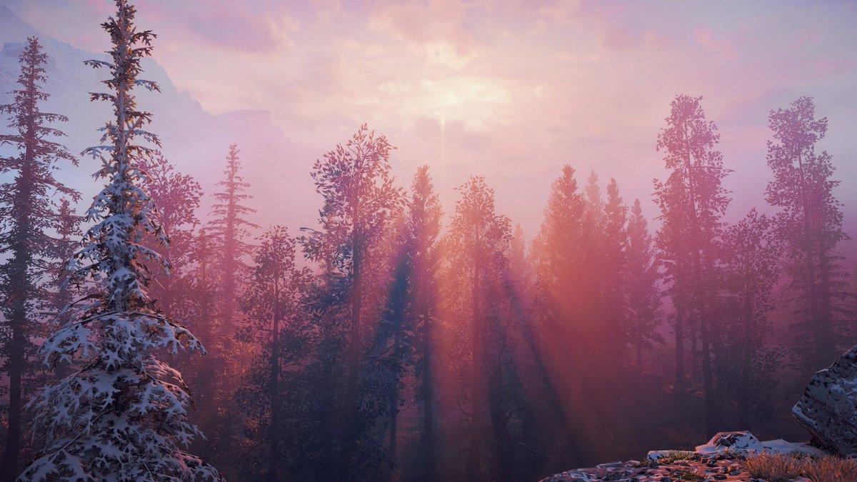stealthhuntress's tweet photo. The colors in this game are so mesmerizing✨💕
#hzd #HorizonZeroDawn #aloy #virtualphotography #PhotoMode #hzdphotomode #VGPUnite https://t.co/lay0ZlUvit