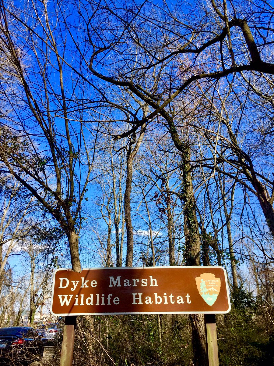 HobanGirl's tweet photo. The tides are in our veins.
— Robinson Jeffers
Low tide along the #Potomac shore and boys leave their bikes to wade out for small treasures. Can’t escape #NationalHarbor or #WilsonBridge since Virginia, DC, and Maryland come together at various points. Dyke is a #TidalMarsh. https://t.co/BUtuU0IqrL