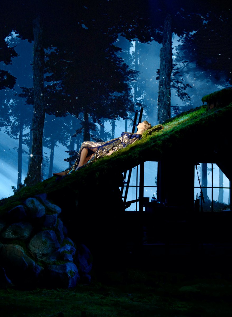 Taylor Nation tweet media