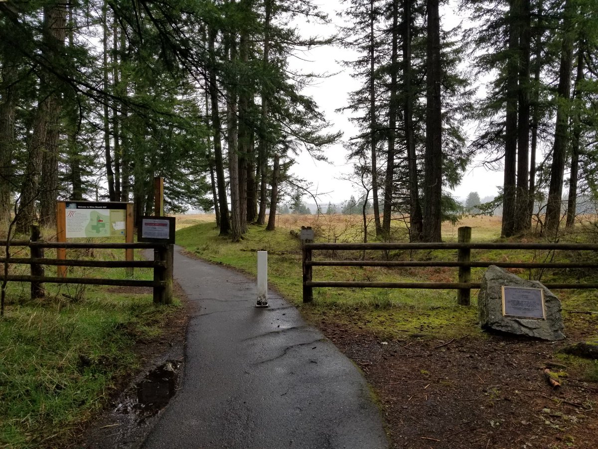 ryanlouie's tweet photo. #MimaMounds Natural Area Preserve, @waDNR. @EcologyWA @WAStatePks @WaStatePks_WNTR @WDFW @cityofolympia @ThurstonCounty @experience_oly @ExperienceWA @WTA_hikers @AllTrails https://t.co/WN1fh8dTct