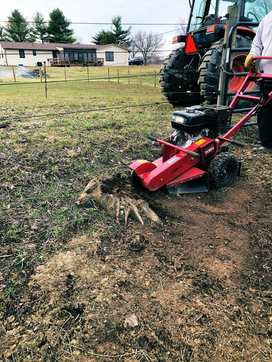HrnssRcngJess's tweet photo. Nice day to try out a stump grinder #WhatAWorkout https://t.co/JIotO34ziF