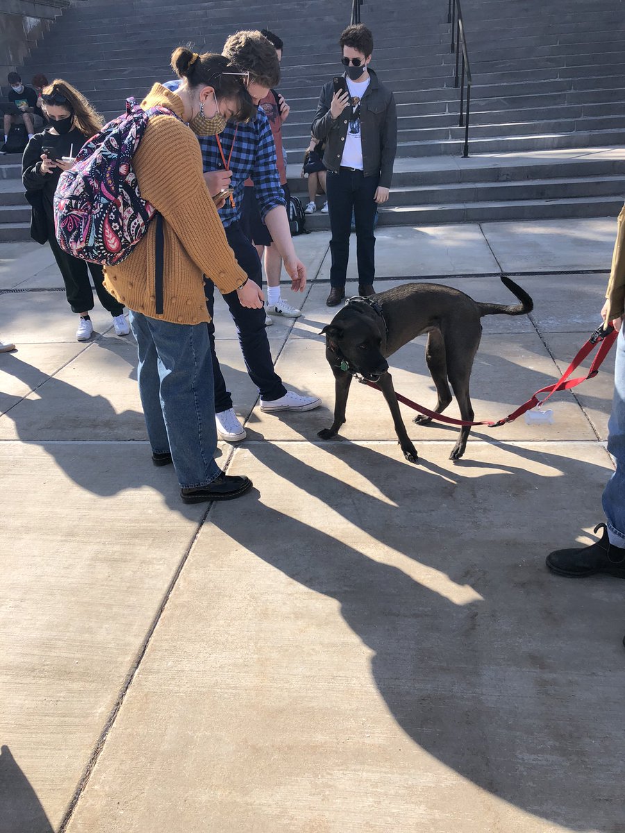 DianaDenneyPR's tweet photo. Spending this cold snowy day inside thinking about how only a few days ago I was hanging out with @jmgrygiel’s dog on the quad in 60 degree sunshine #NHsmc https://t.co/lqGzTxOIap