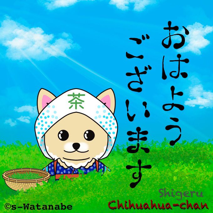 茶摘みのtwitterイラスト検索結果